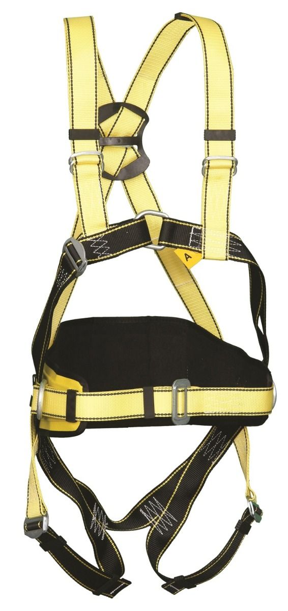 3 point safety harness best sale